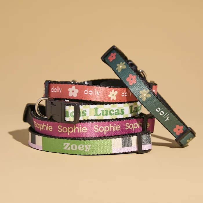 Custom dog collars